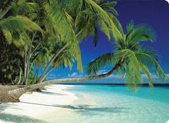 Poročno potovanje, Maldivi