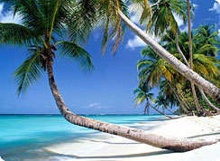 Poroka v tujini, Karibi, Tobago